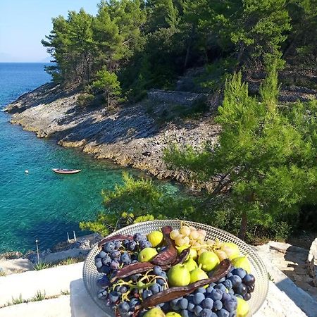 Modern Robinson Veli Bare Villa Vela Luka Eksteriør billede