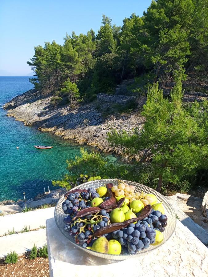 Modern Robinson Veli Bare Villa Vela Luka Eksteriør billede