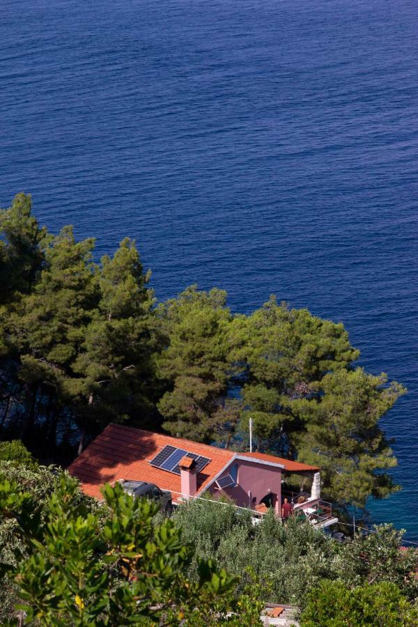 Modern Robinson Veli Bare Villa Vela Luka Eksteriør billede
